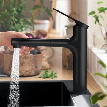 Köksblandare Hansgrohe Zesis M33 160 mattsvart med utdragbar handdusch