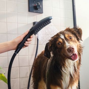 Handdusch Hansgrohe DogShower 150 3jet mattsvart